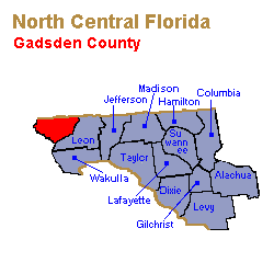 Gadsden County Family Lawyers, Collaborative Law