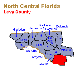 Levy County Family Lawyers, Collaborative Law