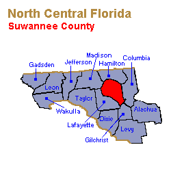 Suwannee County Family Lawyers, Collaborative Law