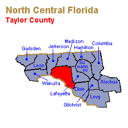 Taylor County Family Lawyers, Collaborative Law
