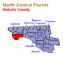 Wakulla County Family Lawyers, Collaborative Law