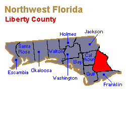 Liberty County Family Lawyers, Collaborative Law