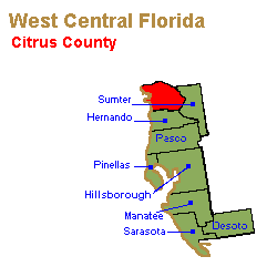 Citrus County Family Lawyers, Collaborative Law