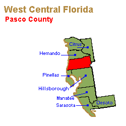 Pasco County Family Lawyers, Collaborative Law